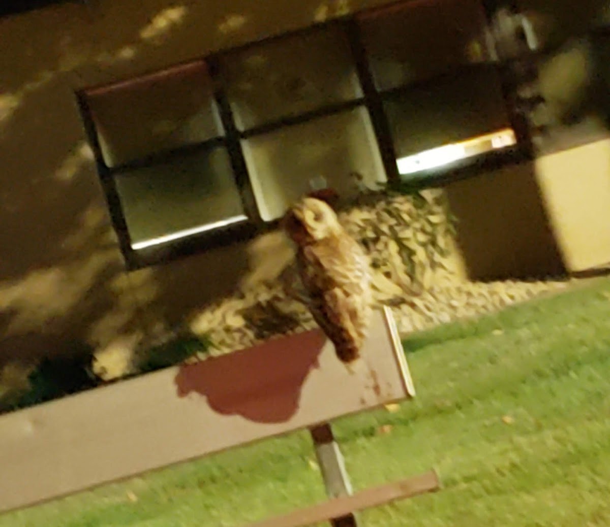 American House Hotel